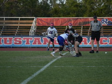Enlarge photo 241