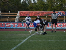 Enlarge photo 242
