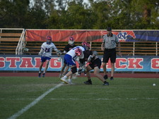 Enlarge photo 244