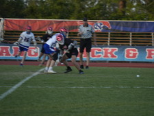 Enlarge photo 245