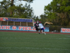 Enlarge photo 249