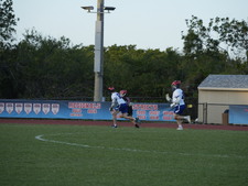 Enlarge photo 258