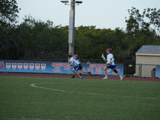Enlarge photo 259