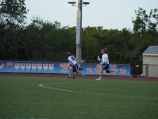 Enlarge photo 260