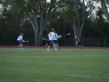 Enlarge photo 264