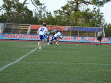 Enlarge photo 283