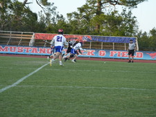 Enlarge photo 284