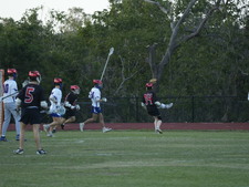 Enlarge photo 340