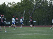 Enlarge photo 342