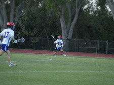 Enlarge photo 384