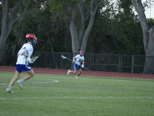Enlarge photo 386