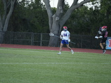 Enlarge photo 394