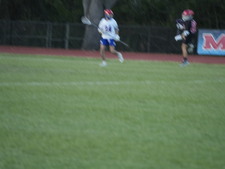 Enlarge photo 395