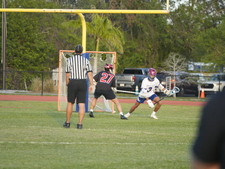 Enlarge photo 423