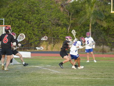 Enlarge photo 429