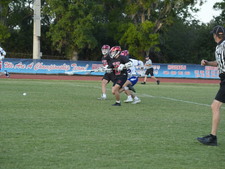 Enlarge photo 445