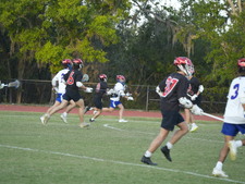 Enlarge photo 463