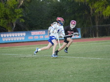 Enlarge photo 519