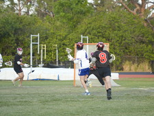 Enlarge photo 530