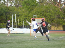 Enlarge photo 531