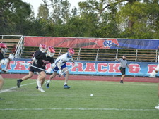 Enlarge photo 730