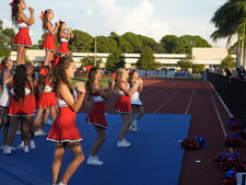 Enlarge photo 45