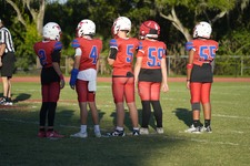 Enlarge photo 57