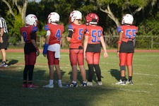 Enlarge photo 58
