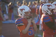 Enlarge photo 149