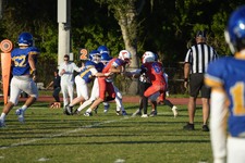 Enlarge photo 179