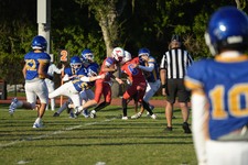 Enlarge photo 181