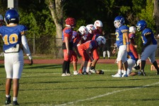 Enlarge photo 212