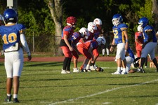 Enlarge photo 214