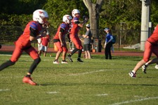 Enlarge photo 215