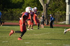 Enlarge photo 216
