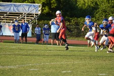 Enlarge photo 223