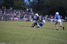 Enlarge photo 59