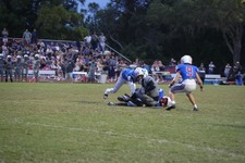 Enlarge photo 61
