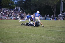 Enlarge photo 63