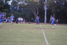 Enlarge photo 61