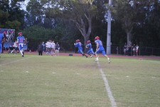 Enlarge photo 65