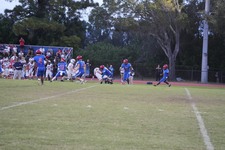 Enlarge photo 72