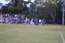 Enlarge photo 77
