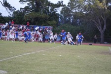 Enlarge photo 81