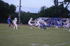 Enlarge photo 95