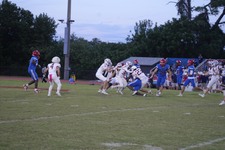 Enlarge photo 96