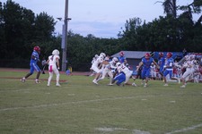 Enlarge photo 97