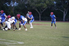 Enlarge photo 161
