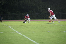 Enlarge photo 48
