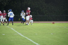 Enlarge photo 61